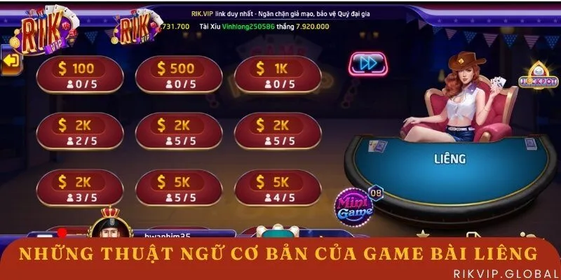 Bó túi thuật ngữ chơi Liêng cơ bản